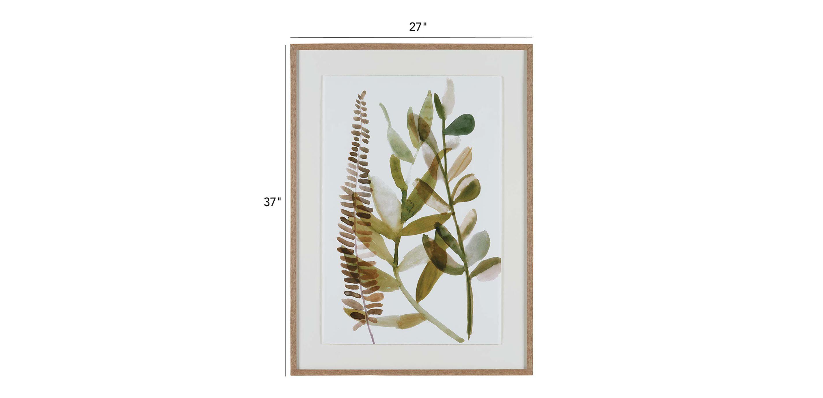 Ridge Ferns I_1