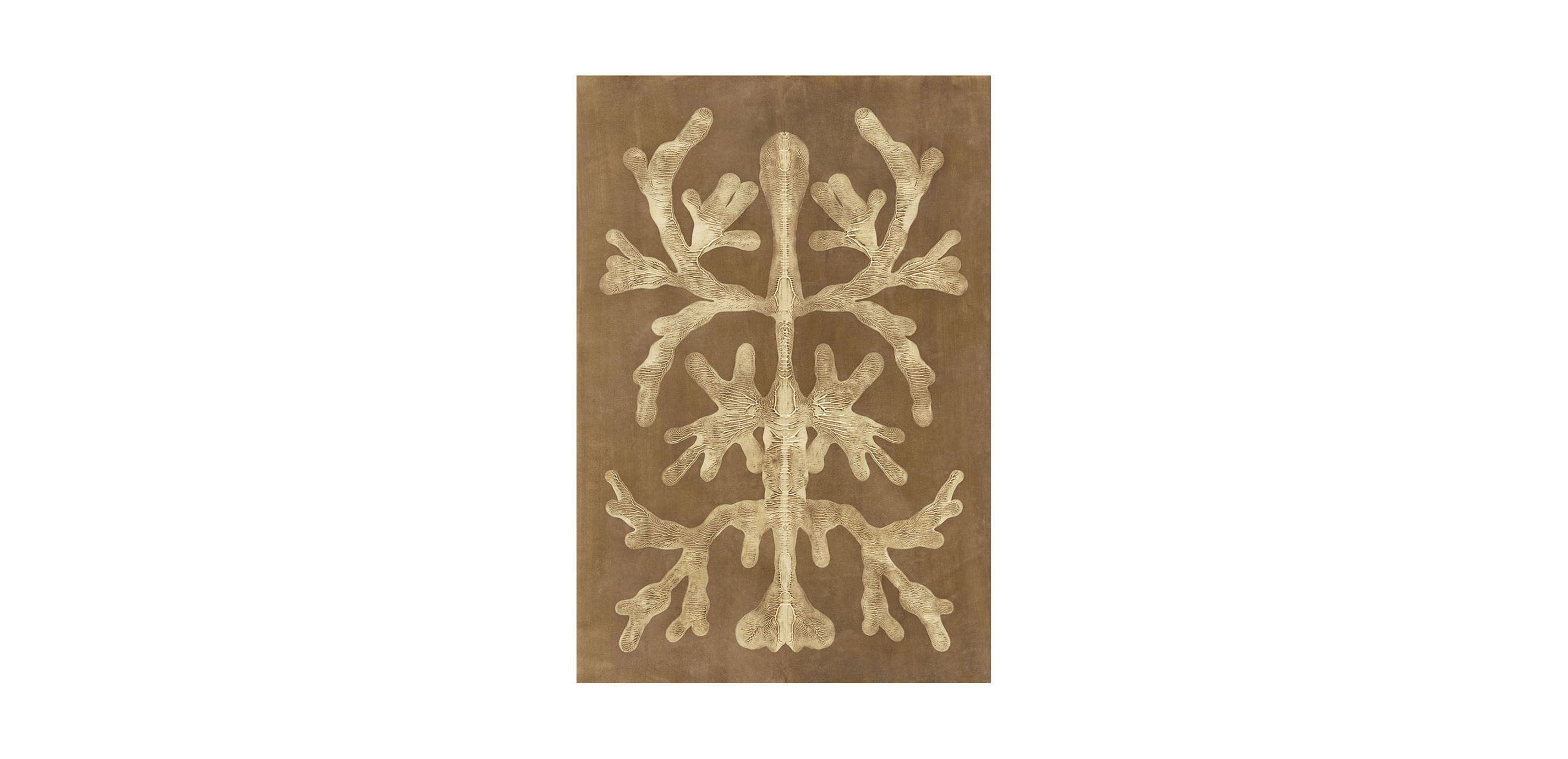 Umber Curiosities II