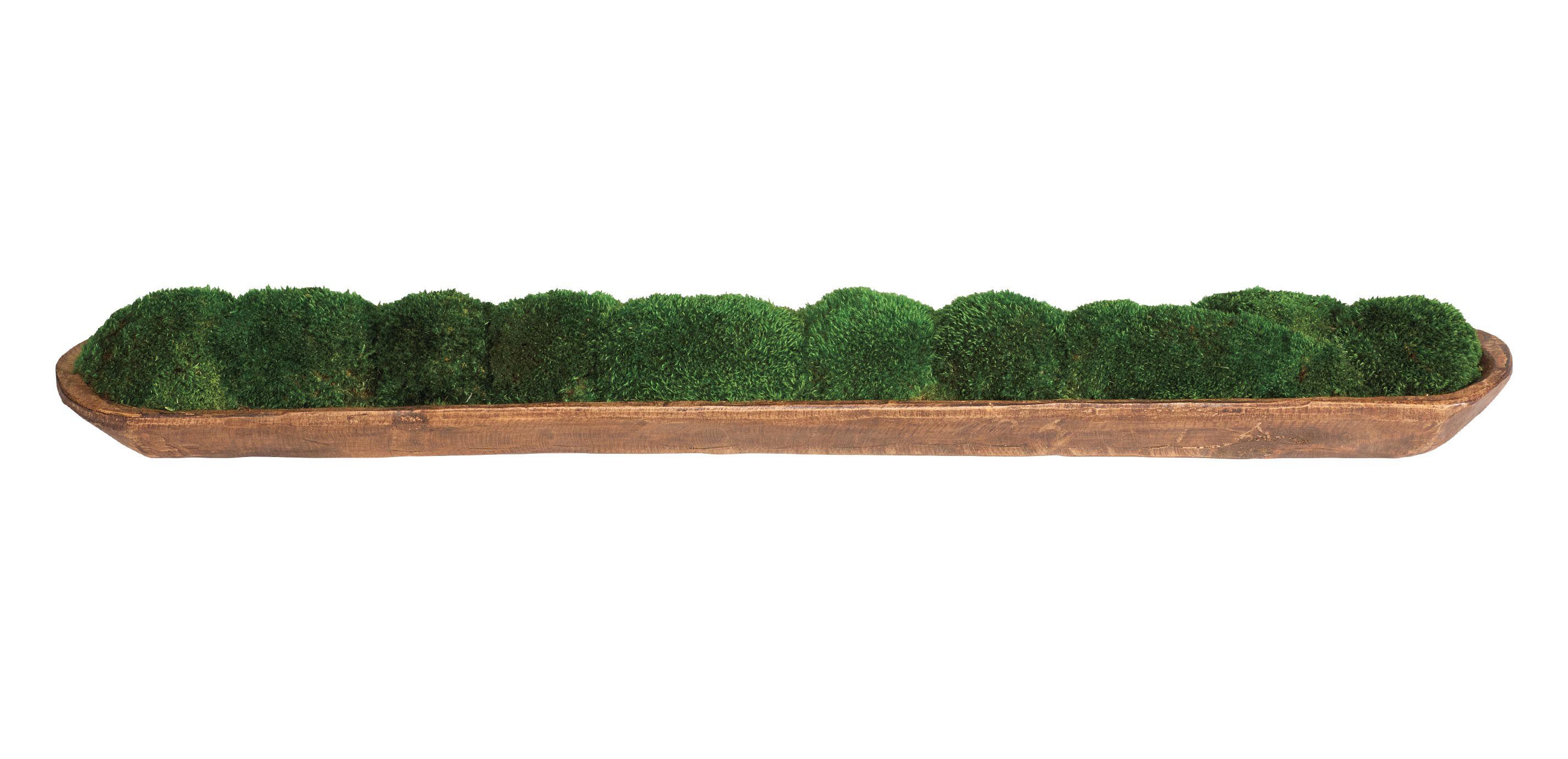 Moss In Linear Container