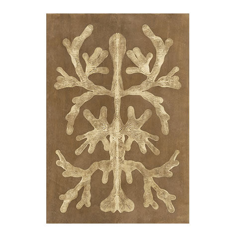 Umber Curiosities II image 1130261
