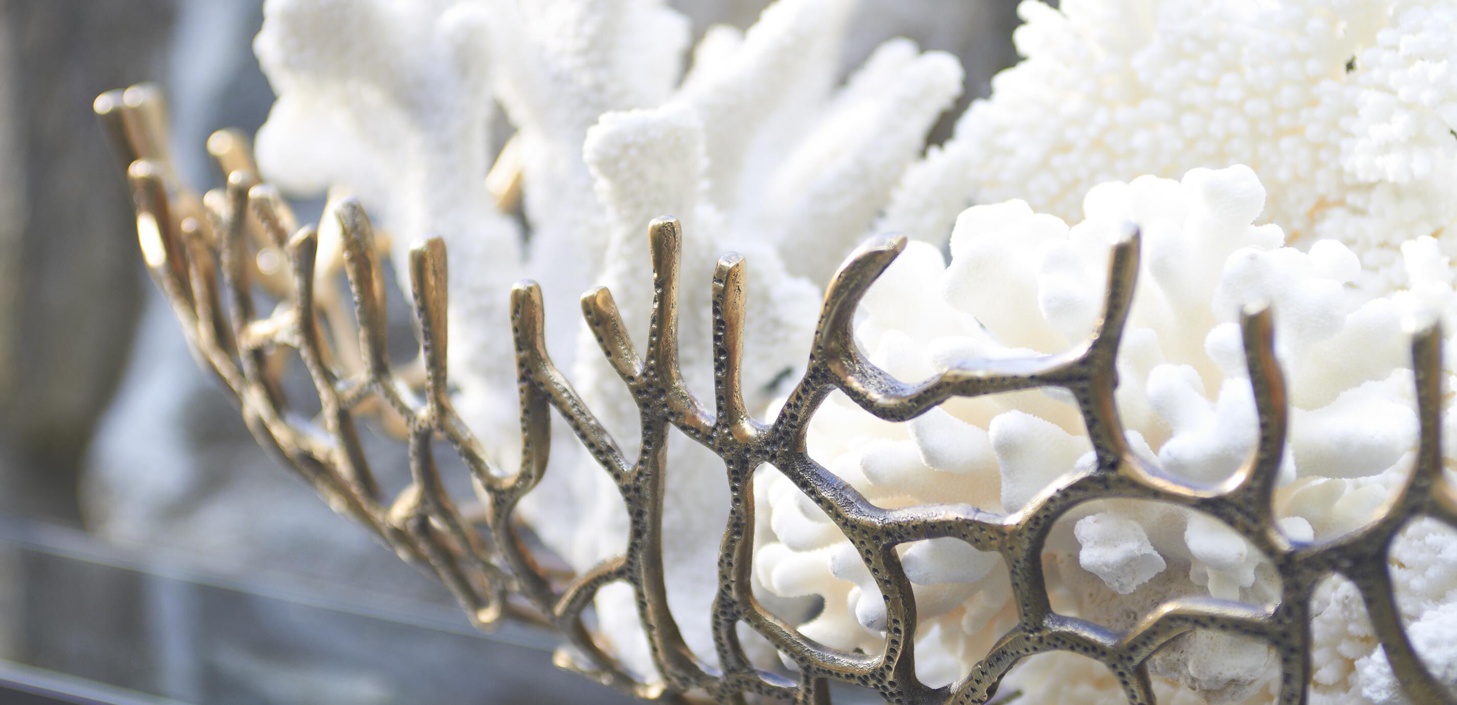 Oval Coral Bowl_1