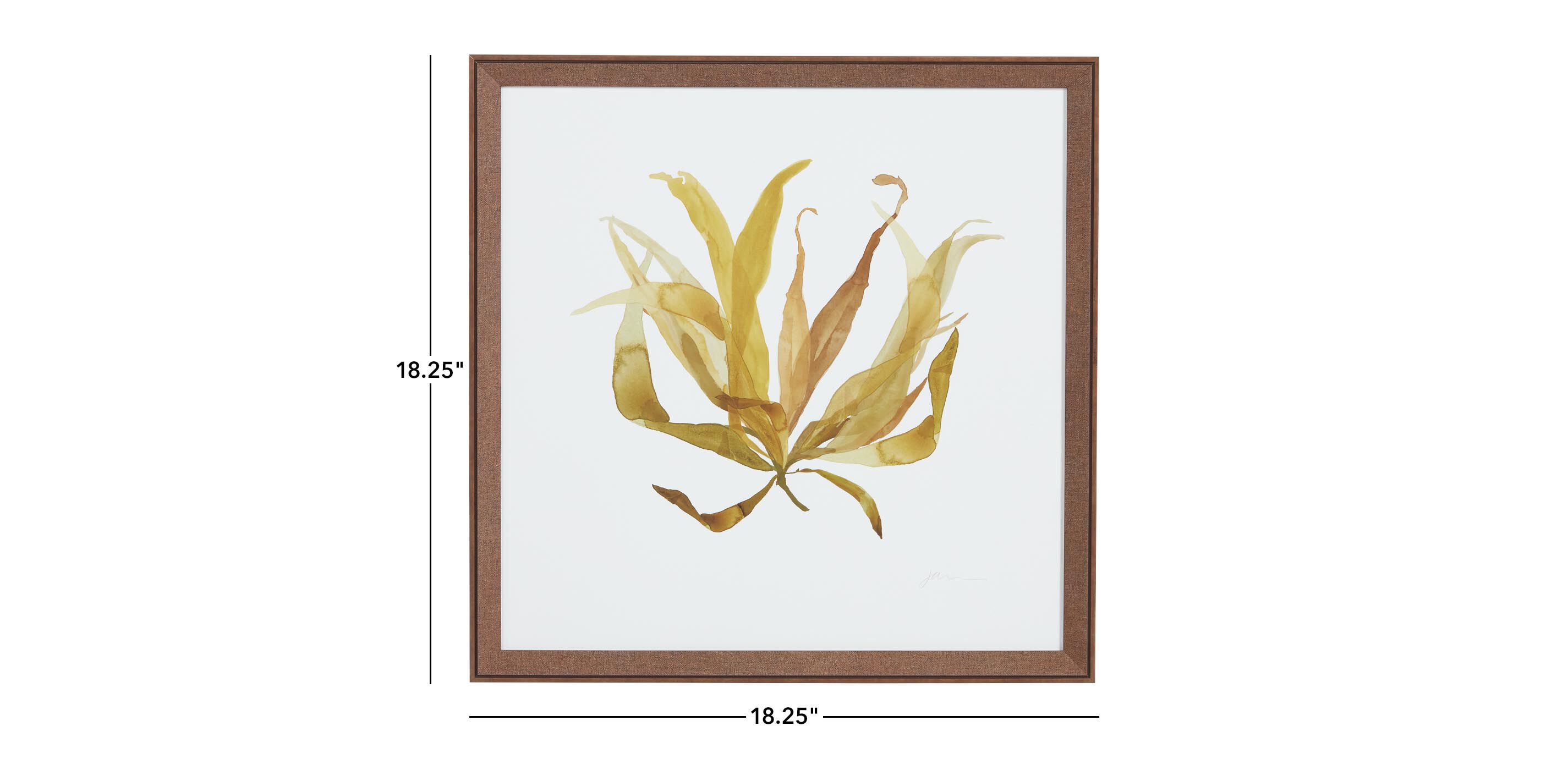 Soft Seaweed_1