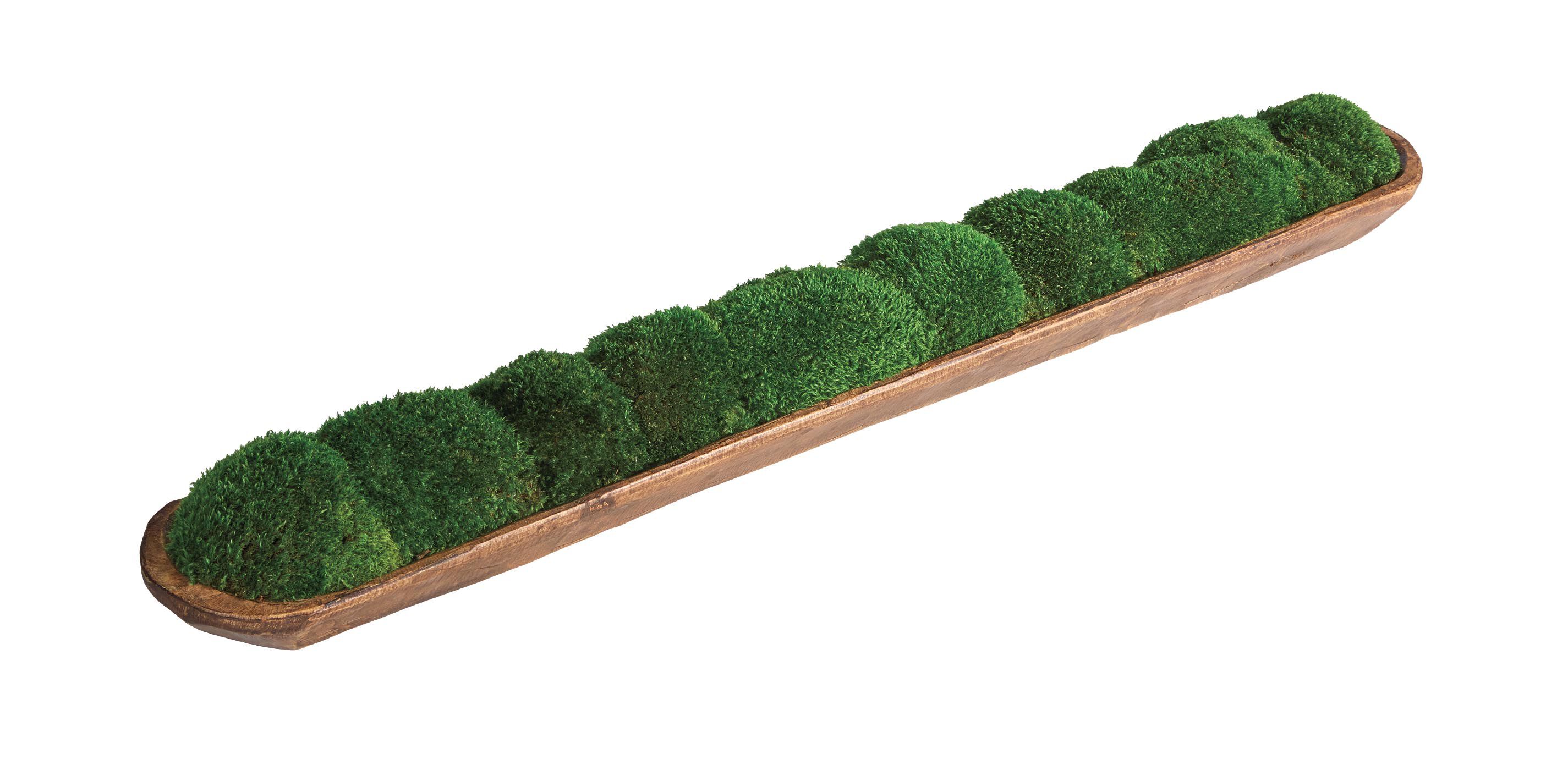 Moss In Linear Container_1
