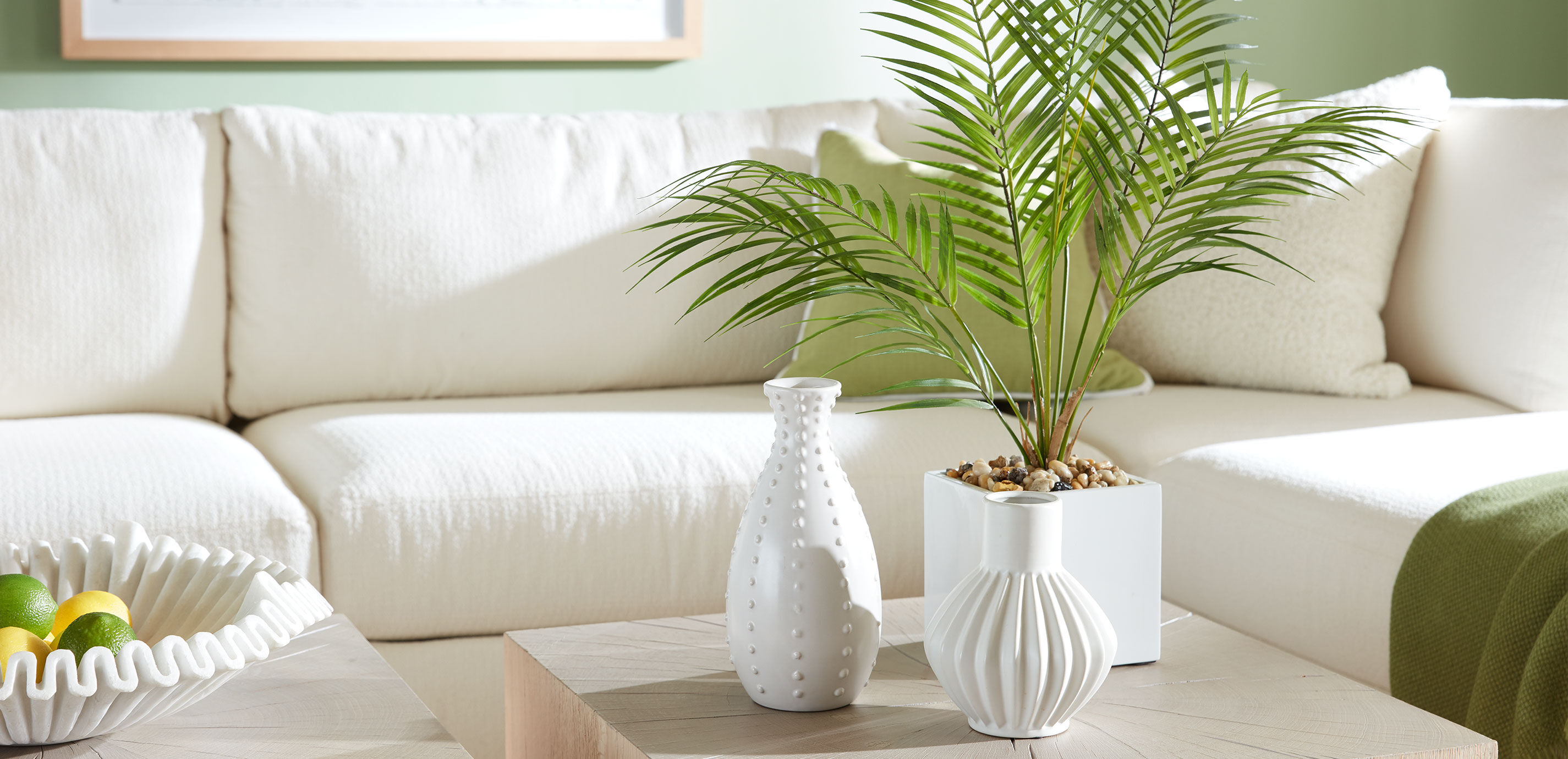 Palm in Square White Pot_2