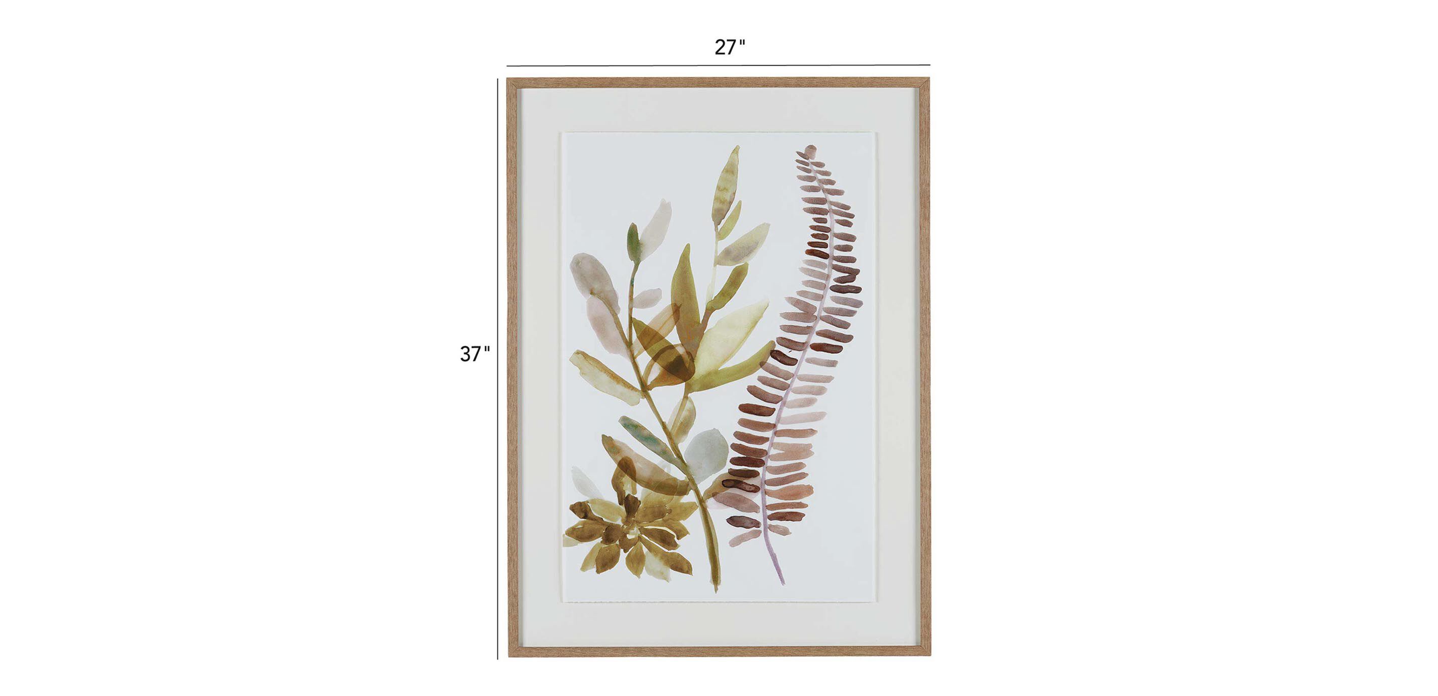 Ridge Ferns II_1