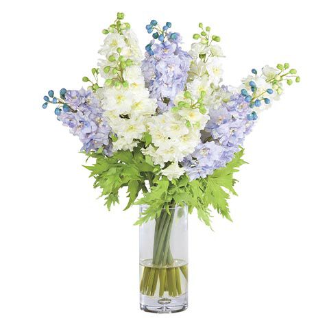 Blue and White Delphinium Bouquet in Tall Vase image 443773   BLU
