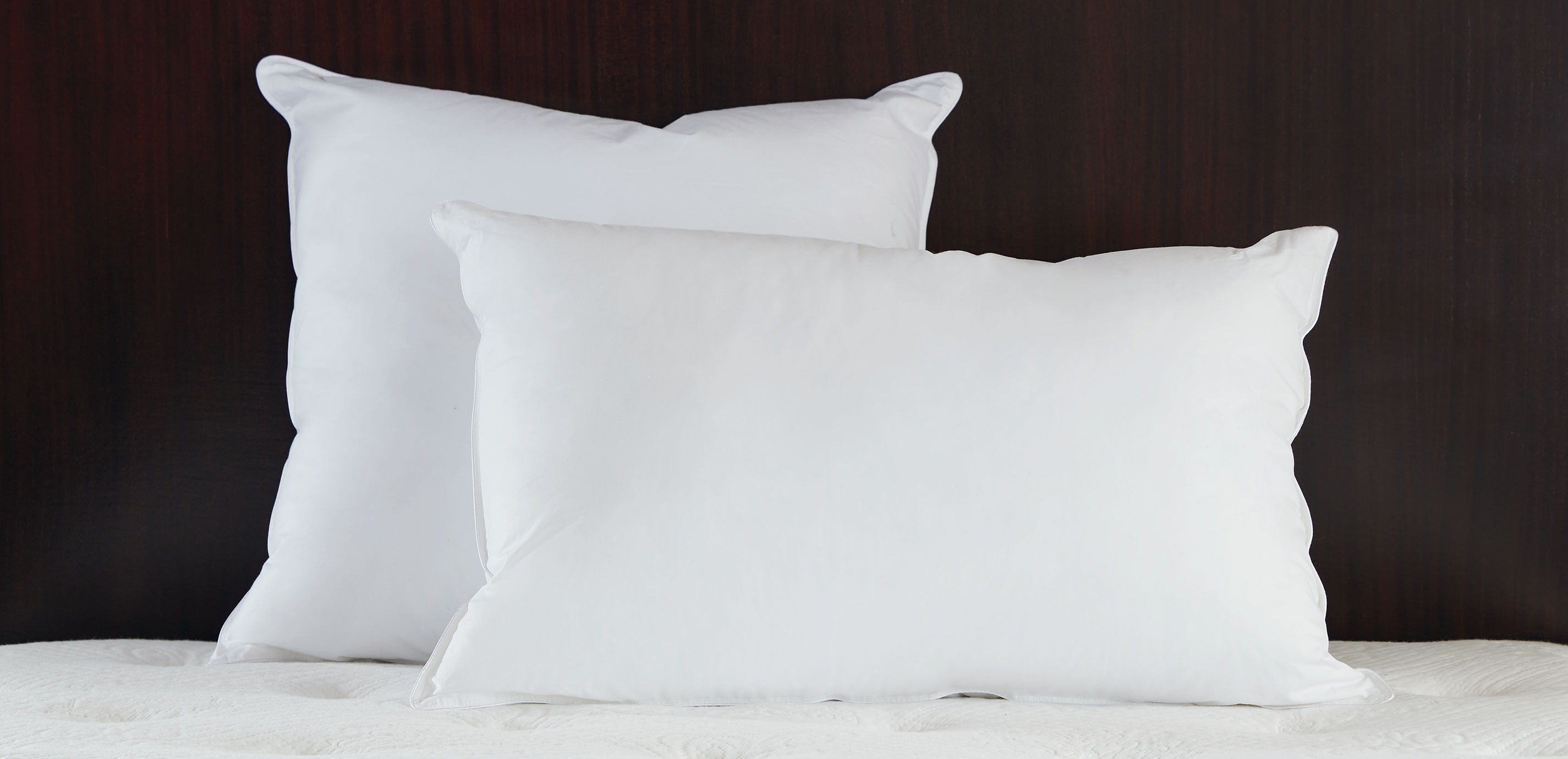 Hypoallergenic Down-Alternative Euro Pillow_4