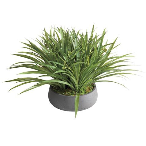 Grass Arrangement in Black Pot image 443806   GRN
