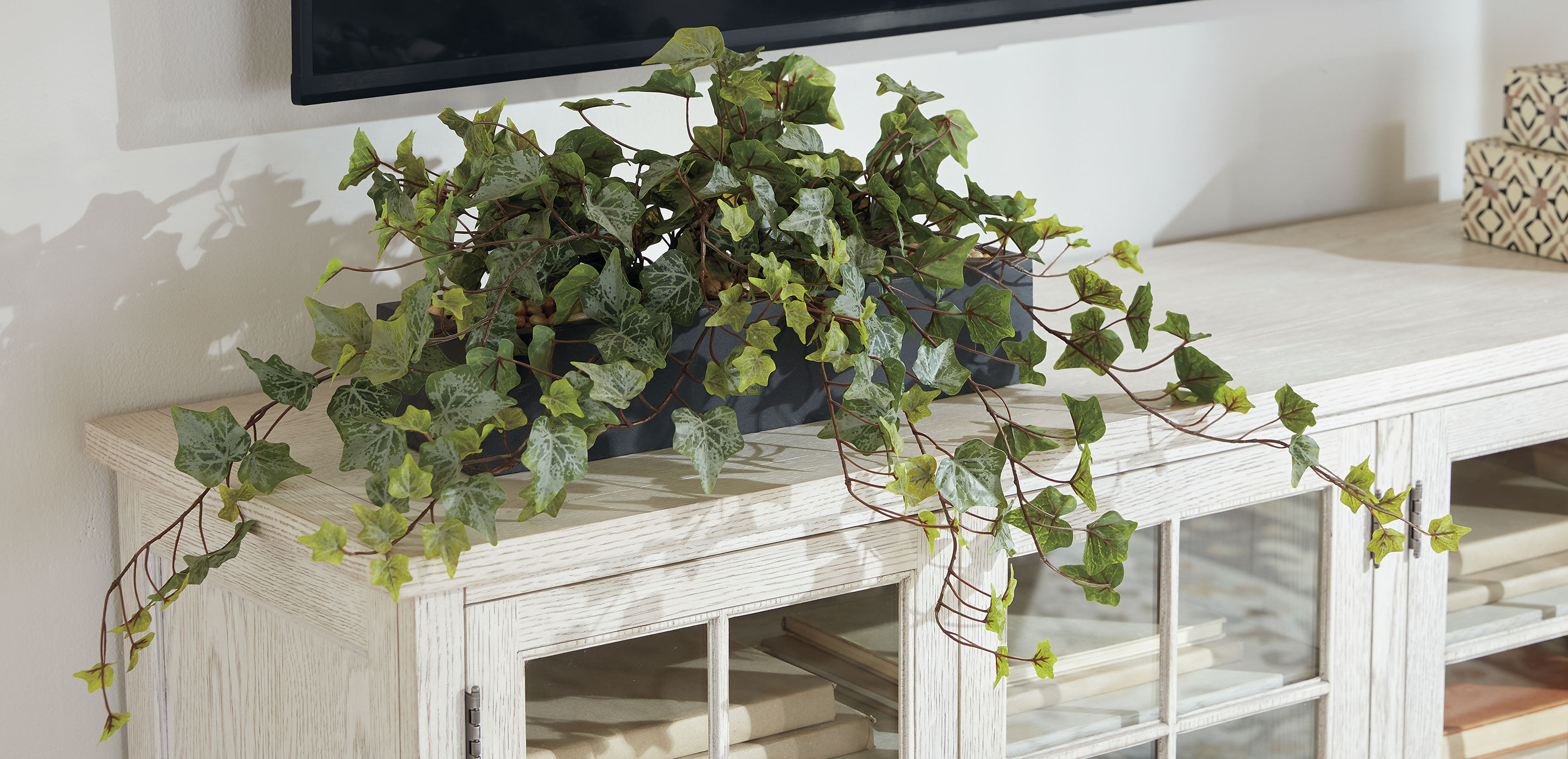 Linear Ivy with Stone_1