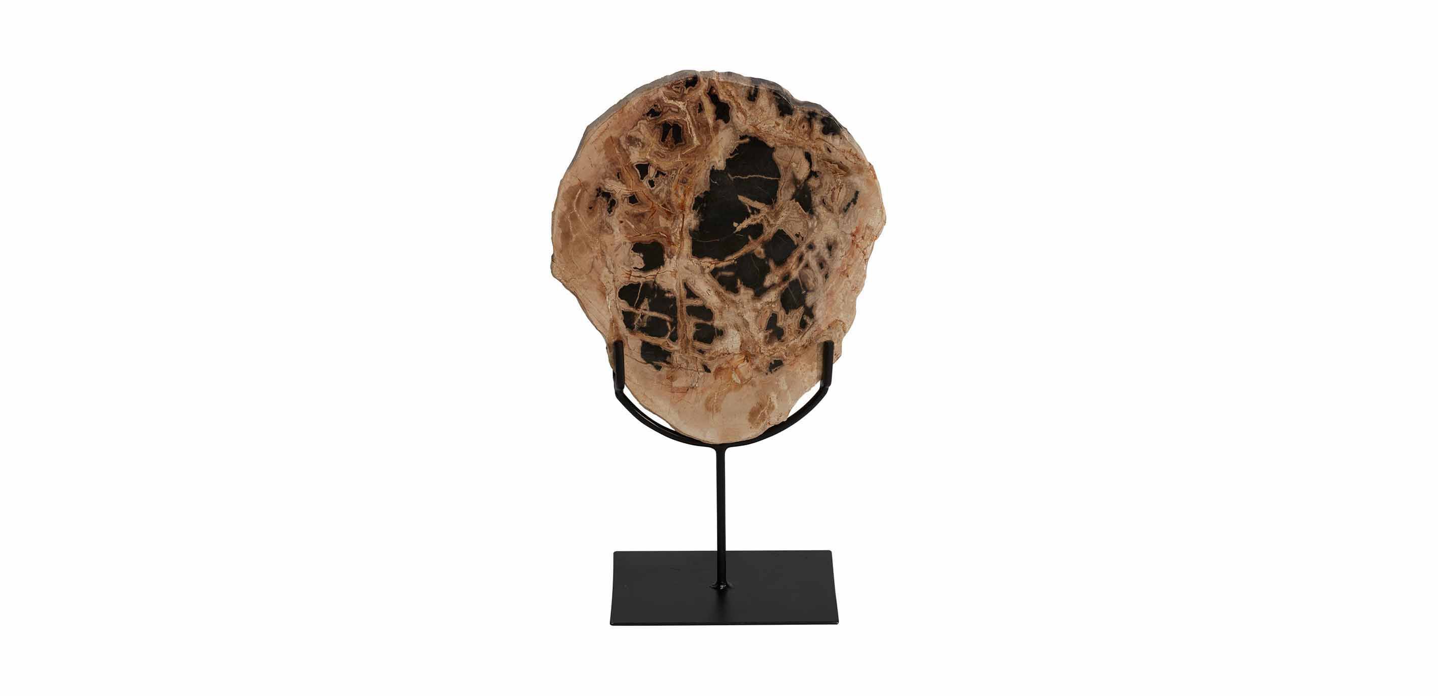 Petrified Wood on Stand