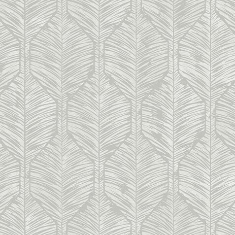 Calvin Wallpaper image WQ1353