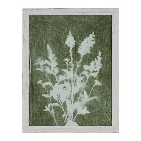 Sage Silhouette I image 073109A