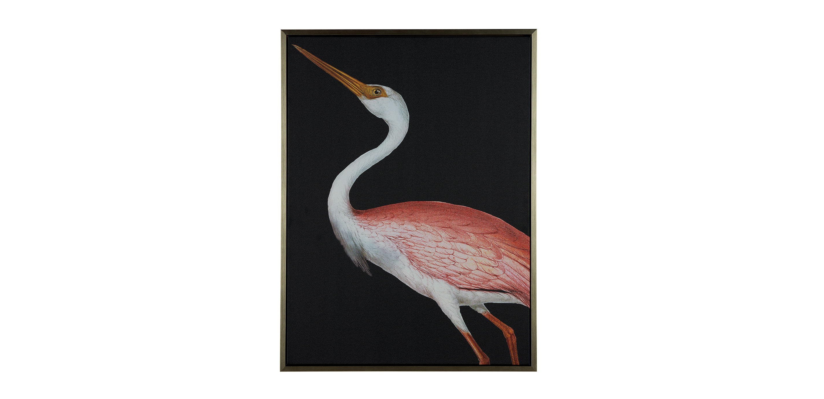 Red Heron II