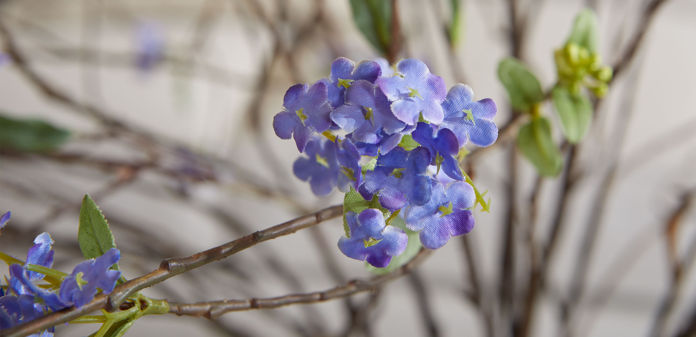 Spirea Branch Arrangement in Tall Vase_4