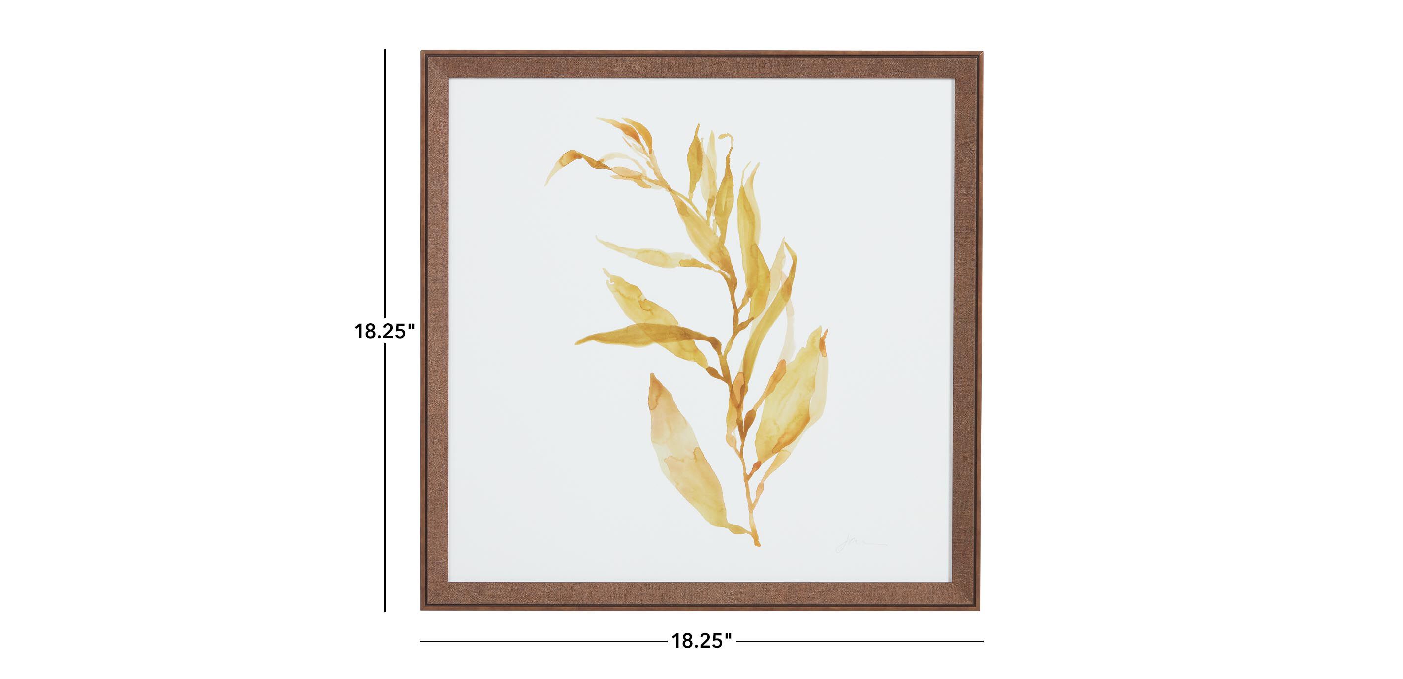 Soft Seaweed_1