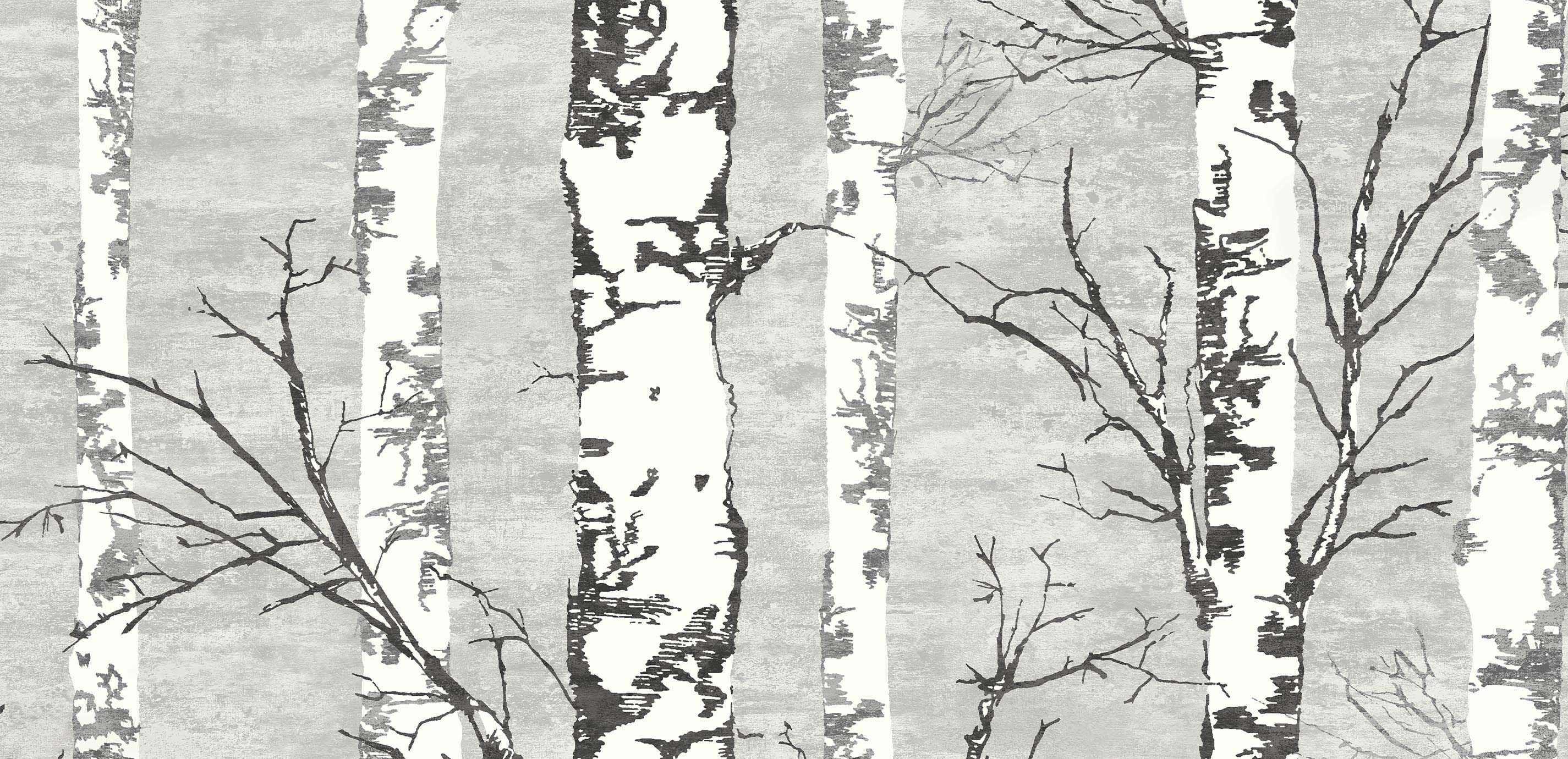 Still Birches Wall Mural