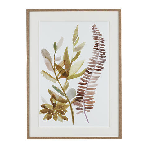 Ridge Ferns II image 073139B