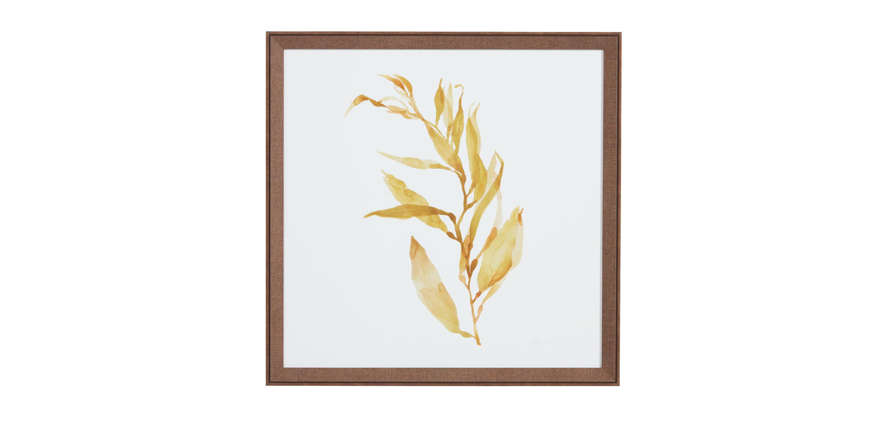 Soft Seaweed