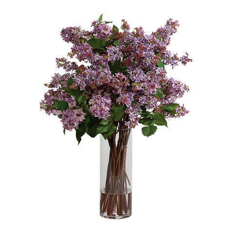 Lilac Branches Watergarden image 446638