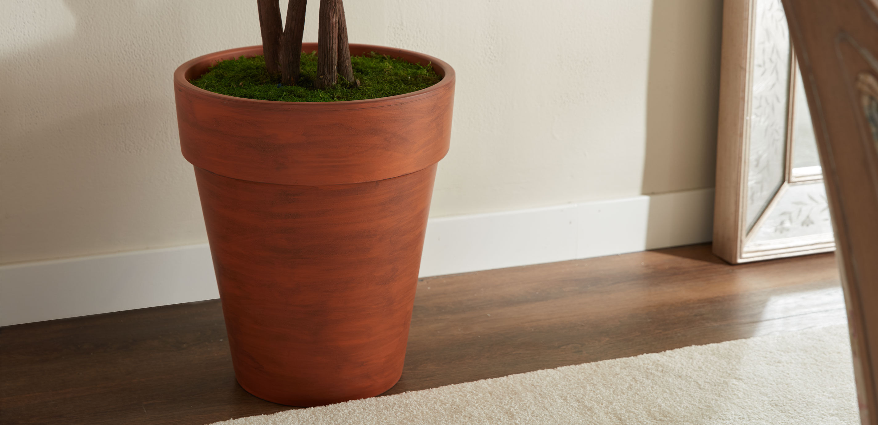 Smilax Tree in Terracotta Pot_4