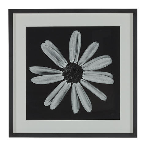 Black Botanical III image 073104C