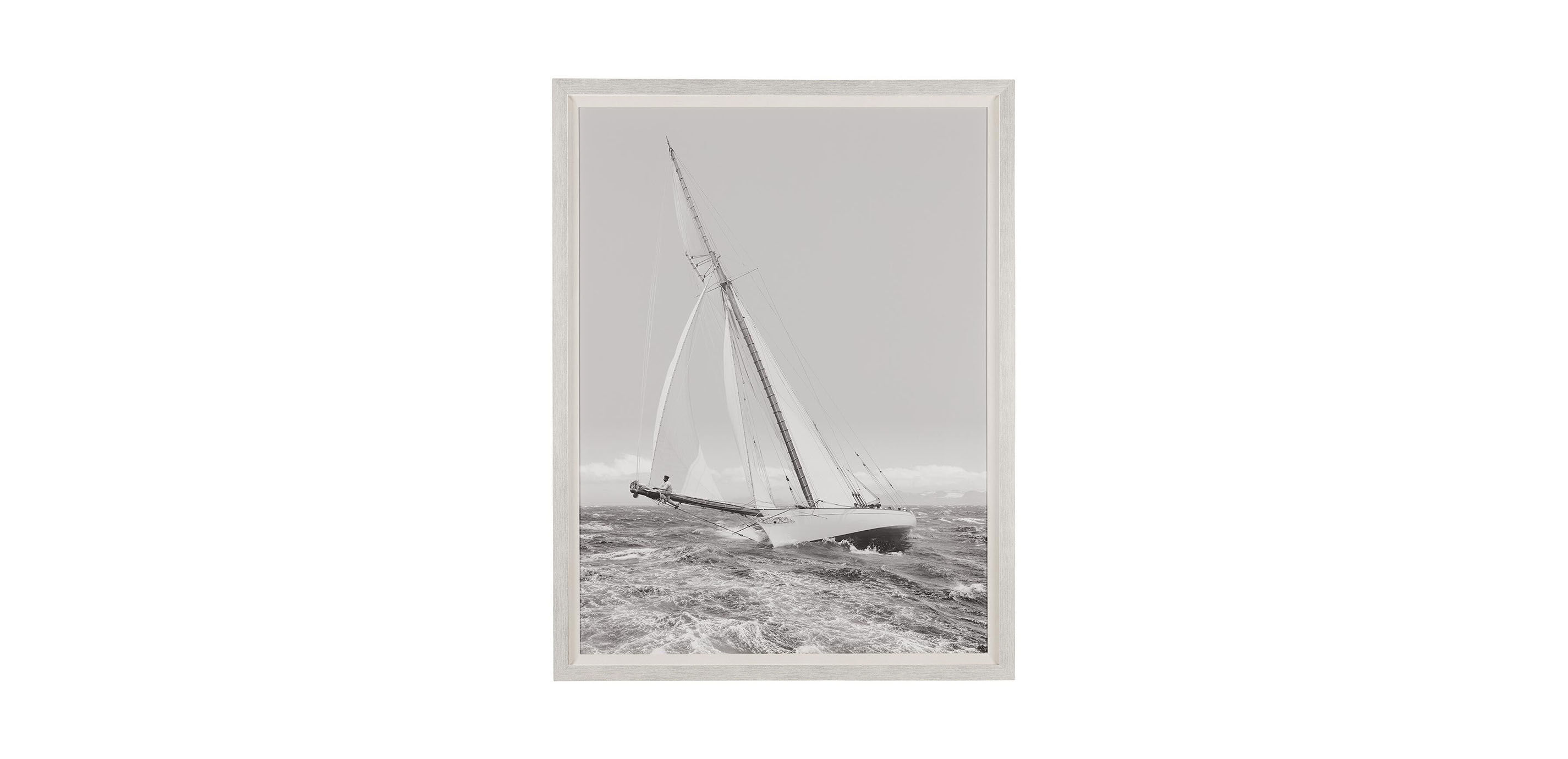 Regatta II