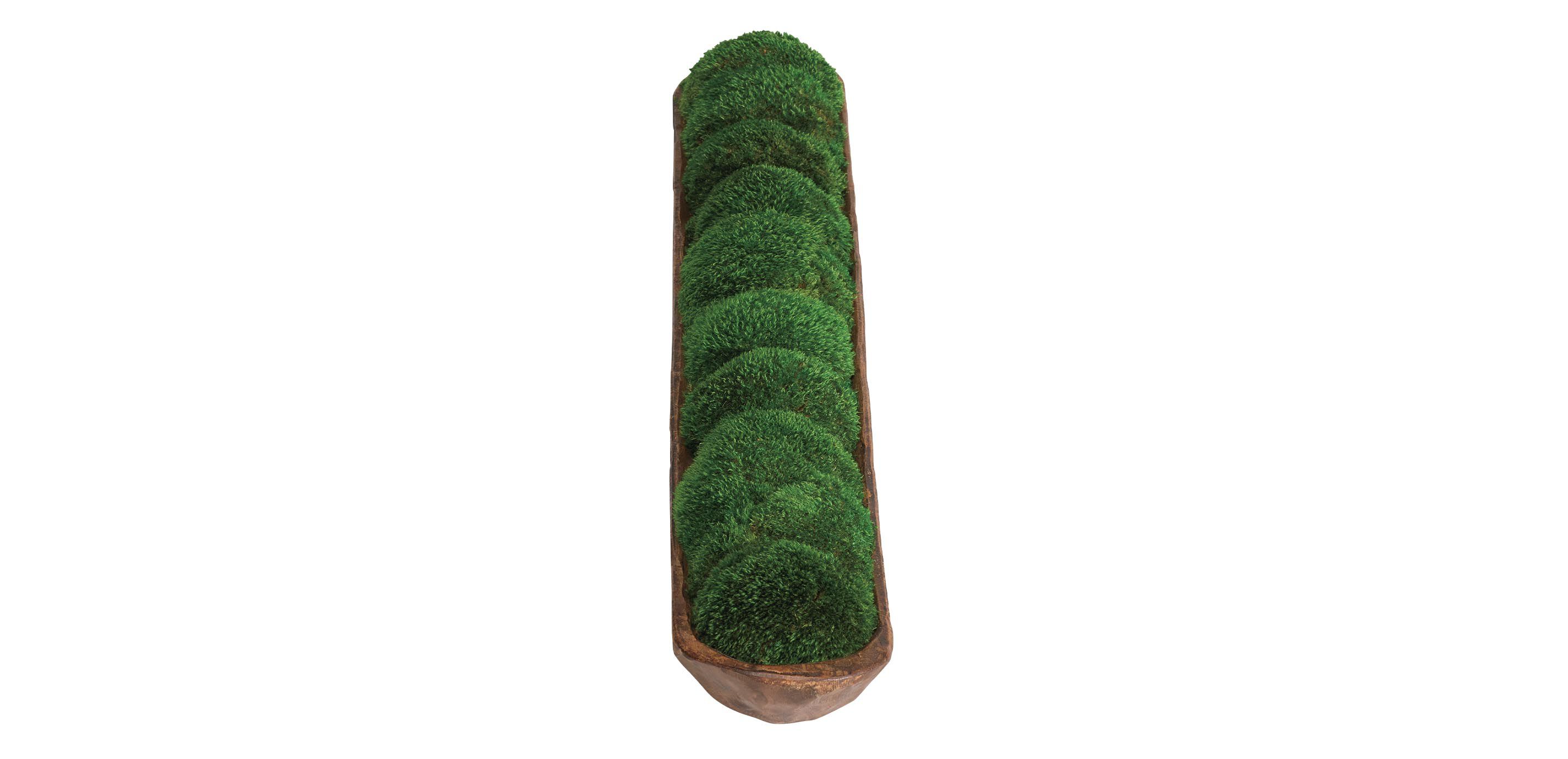 Moss In Linear Container_2