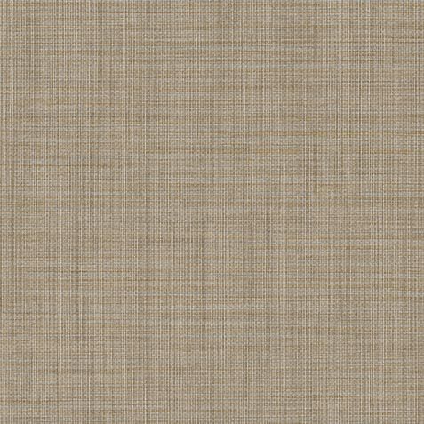 Taylor Textured Wallpaper image WQ1207