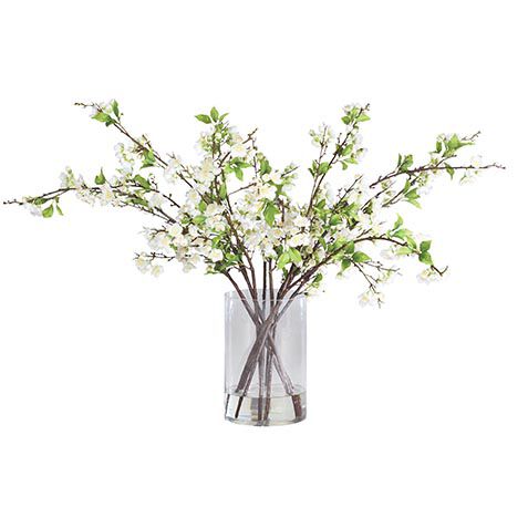 White Plum Blossom Arrangement in Tall Vase image 443788   WHT