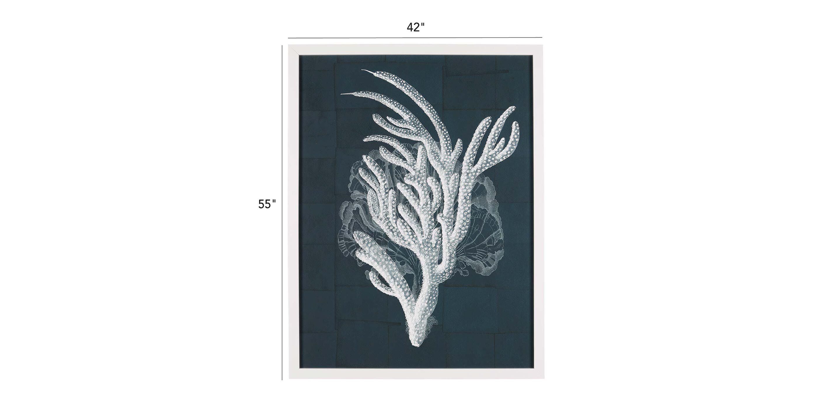 Nautical Coral II_2