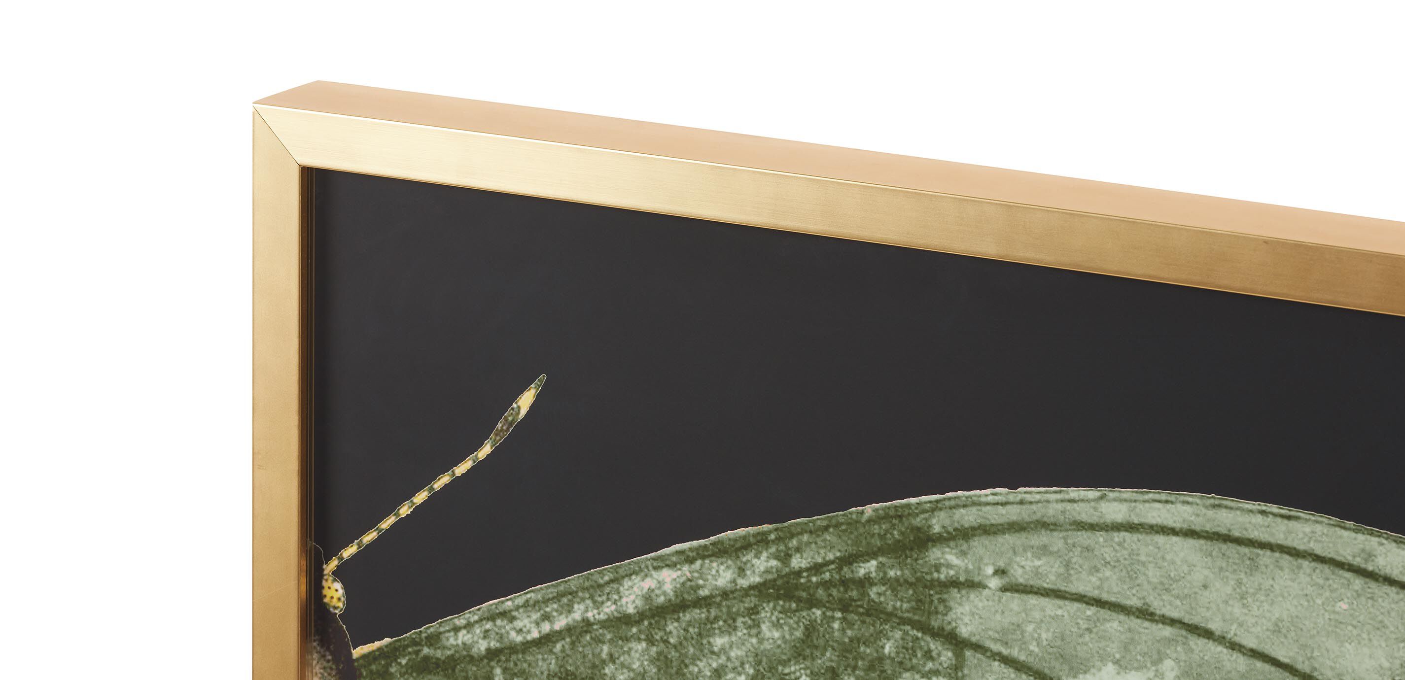 Emerald Wing II_2