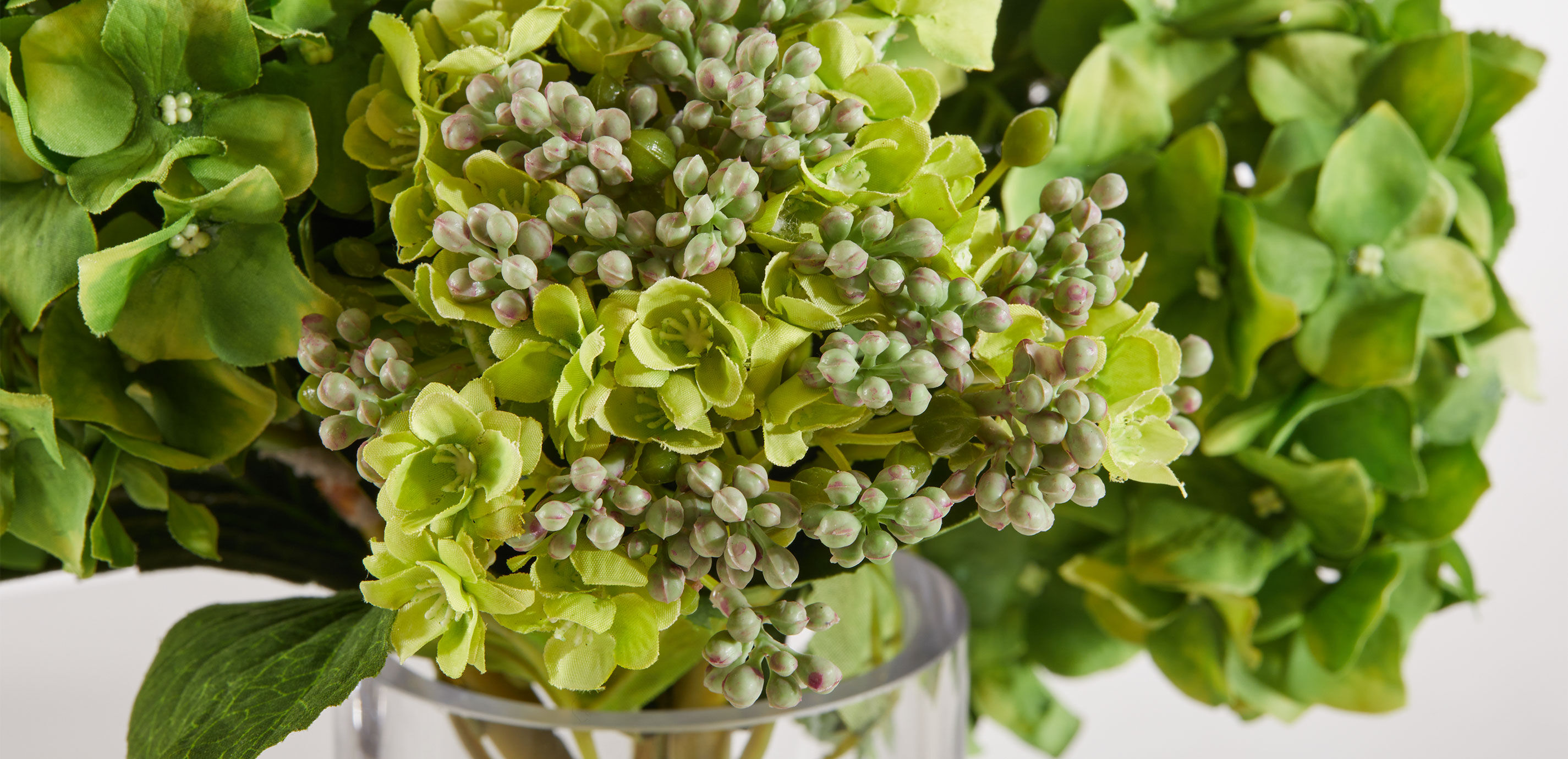 Hydrangea and Buds in Small Glass Vase_4