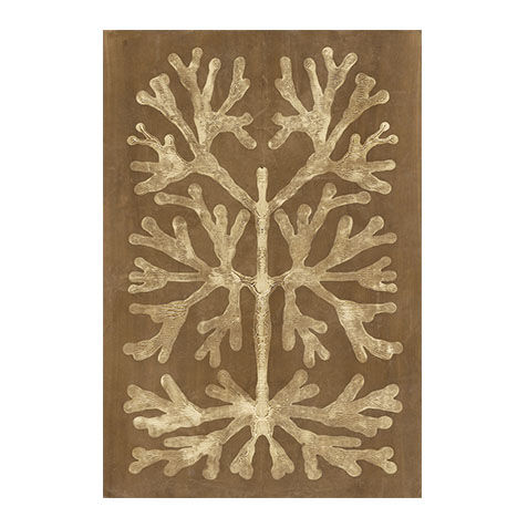 Umber Curiosities I image 1130260