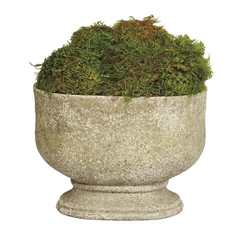 Moss in Oval Stone Planter image 443741