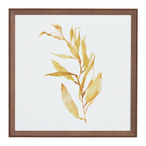 Soft Seaweed image 073261B