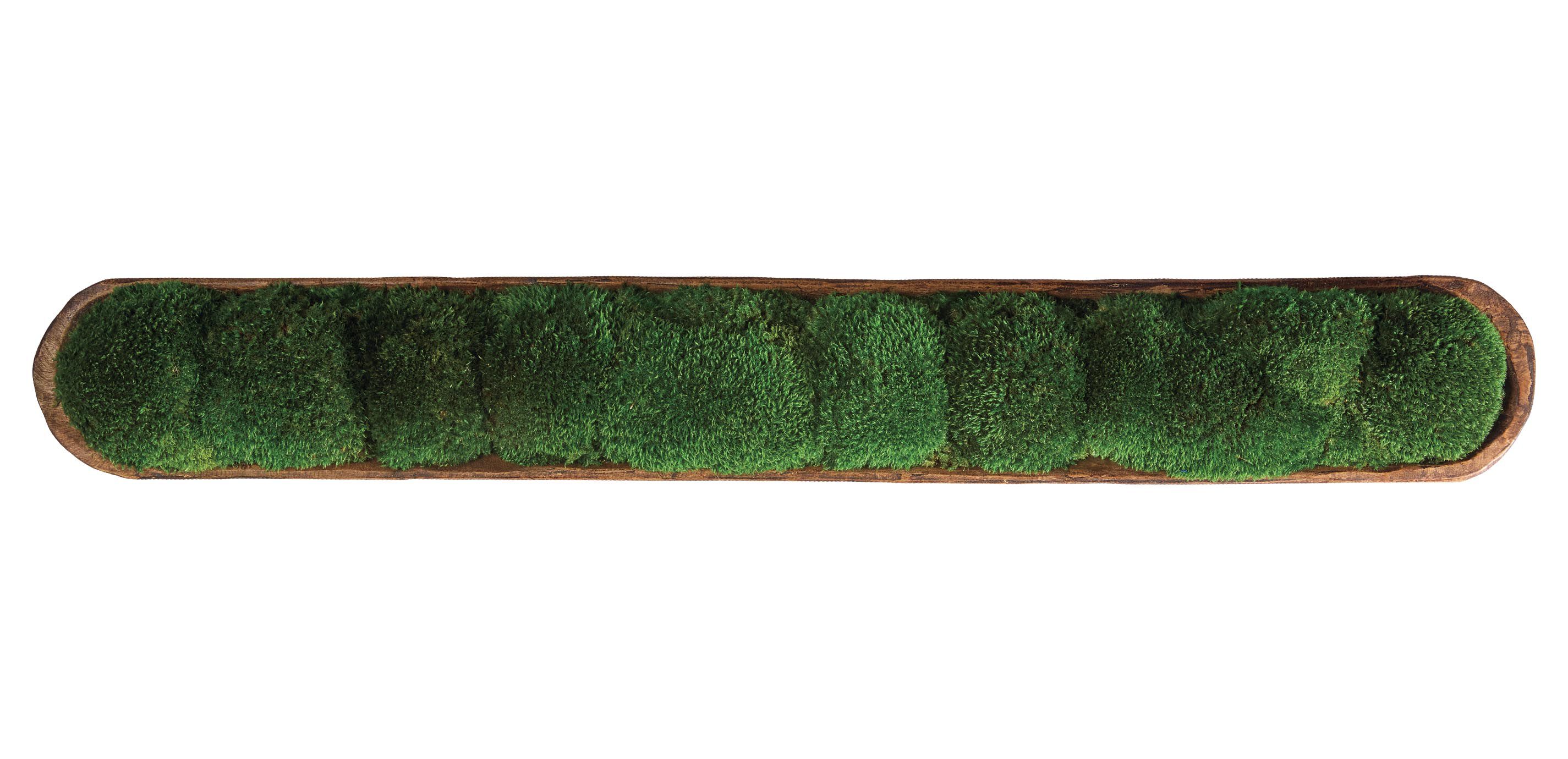 Moss In Linear Container_3
