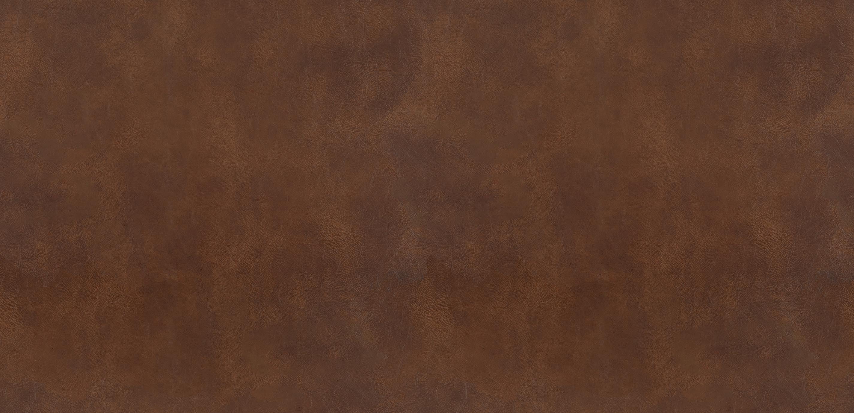 mobile primary image