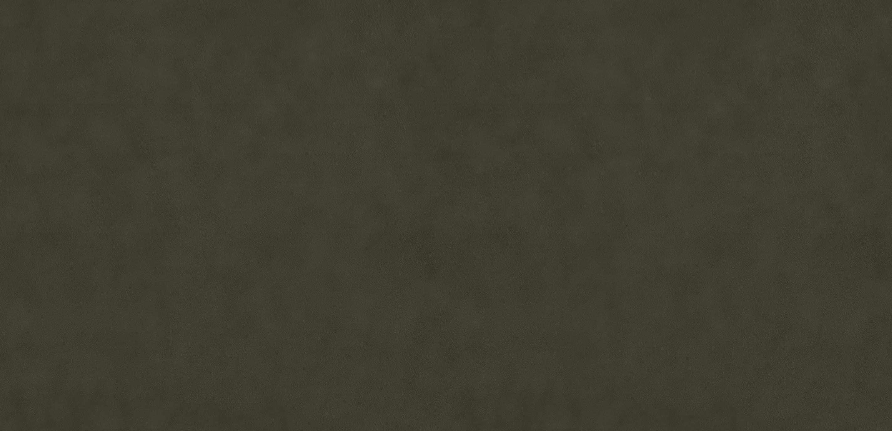 mobile primary image