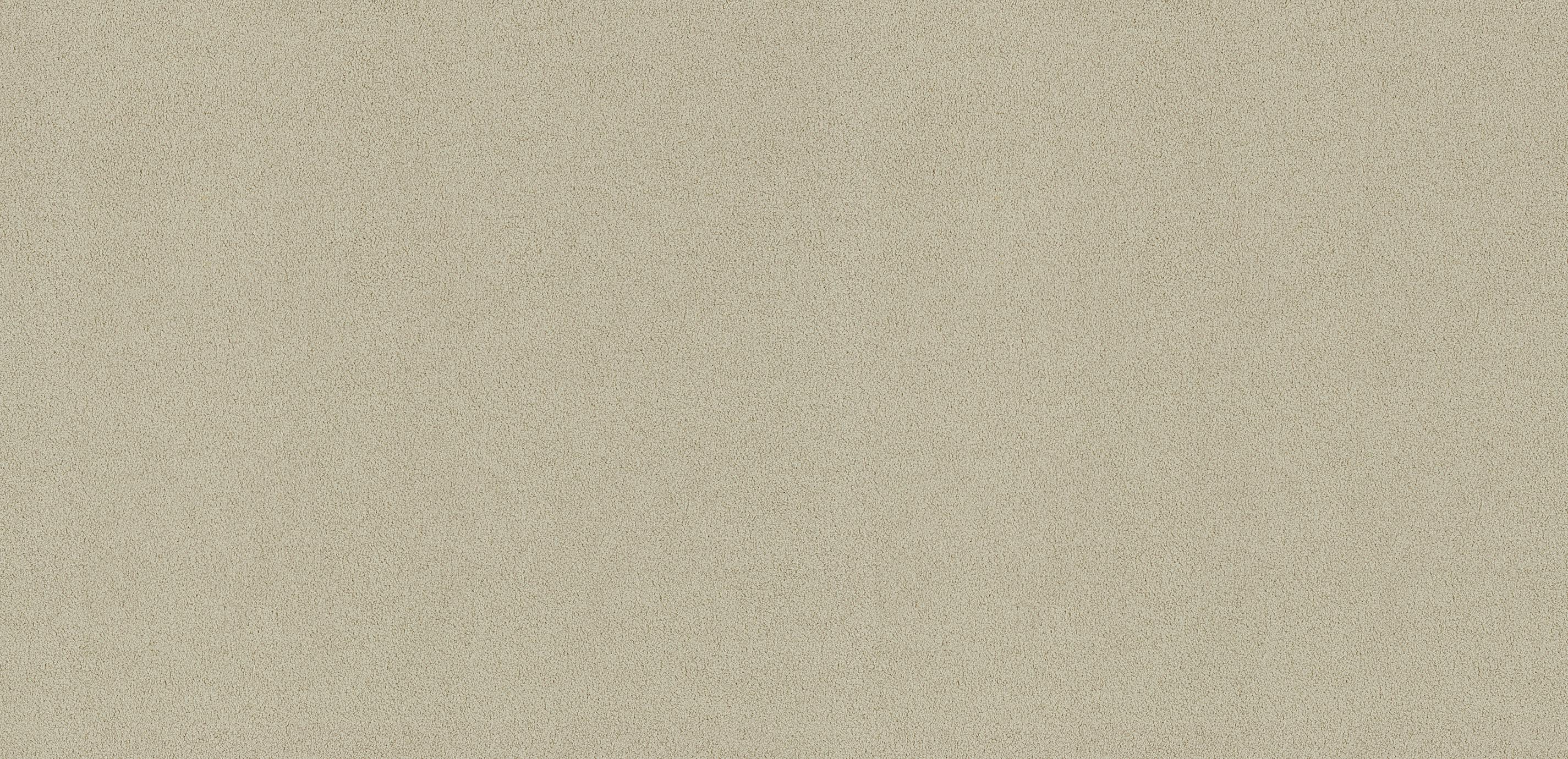 mobile primary image