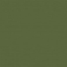 Echo Palm (P2024): indoor outdoor casual woven swatch Echo Fabric