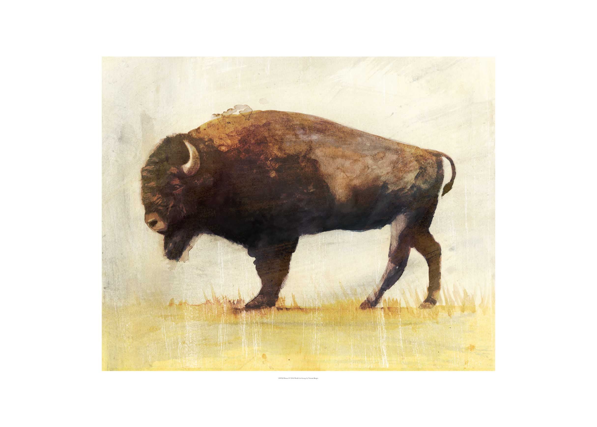 mobile primary image
