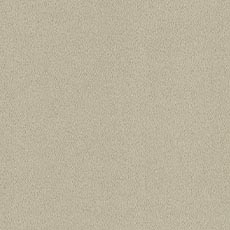 Tilly Sage (F7723): Plush woven solid swatch Tilly Fabric