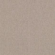 Benton Linen (P0239): indoor outdoor textured woven swatch Benton Fabric