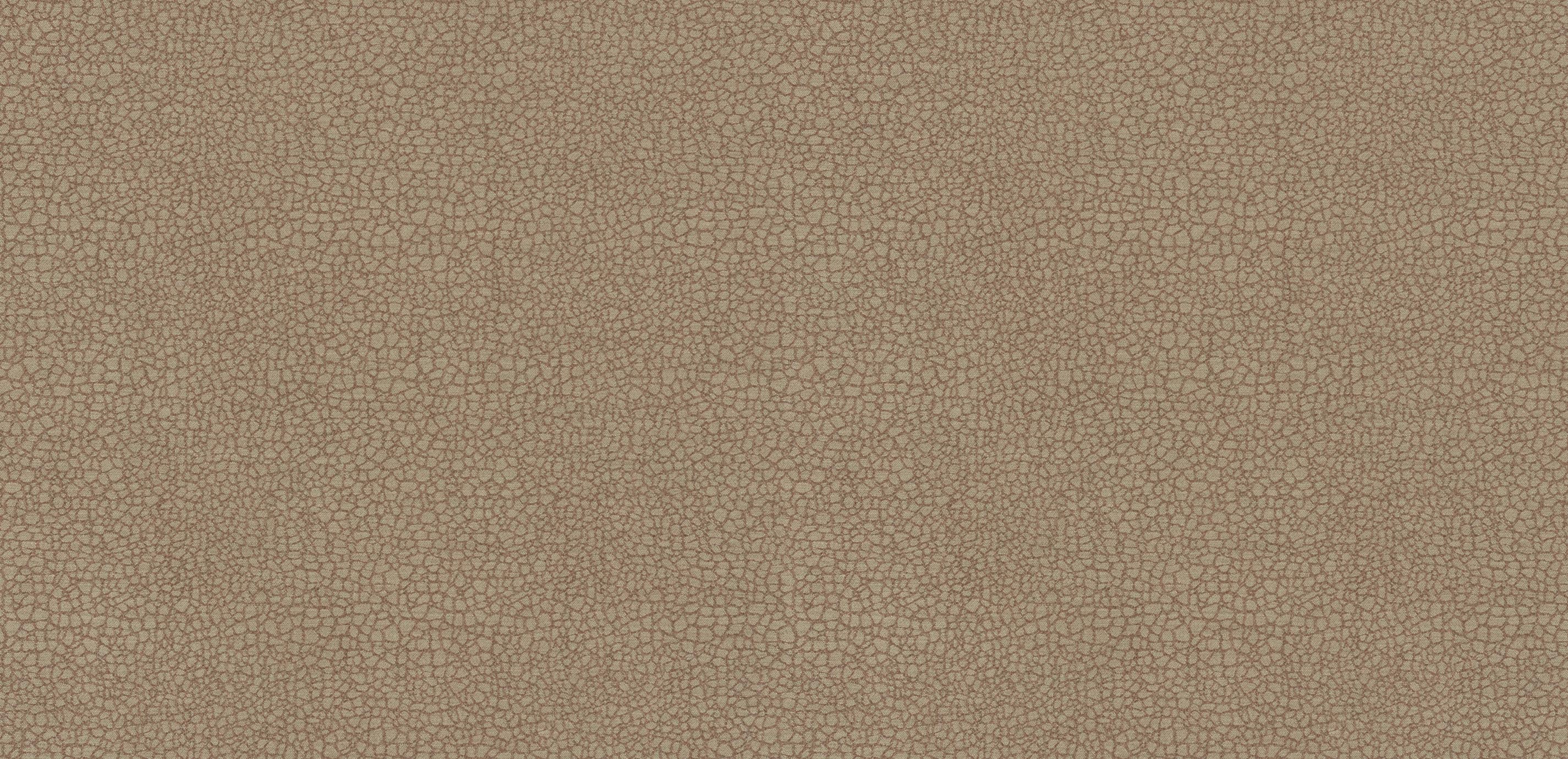 mobile primary image