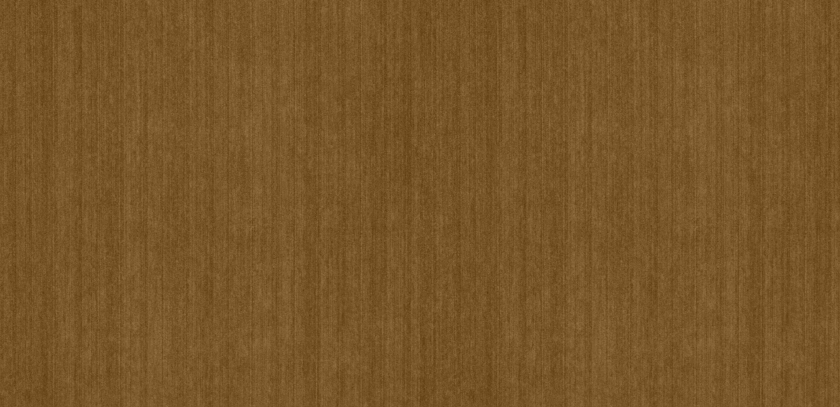mobile primary image