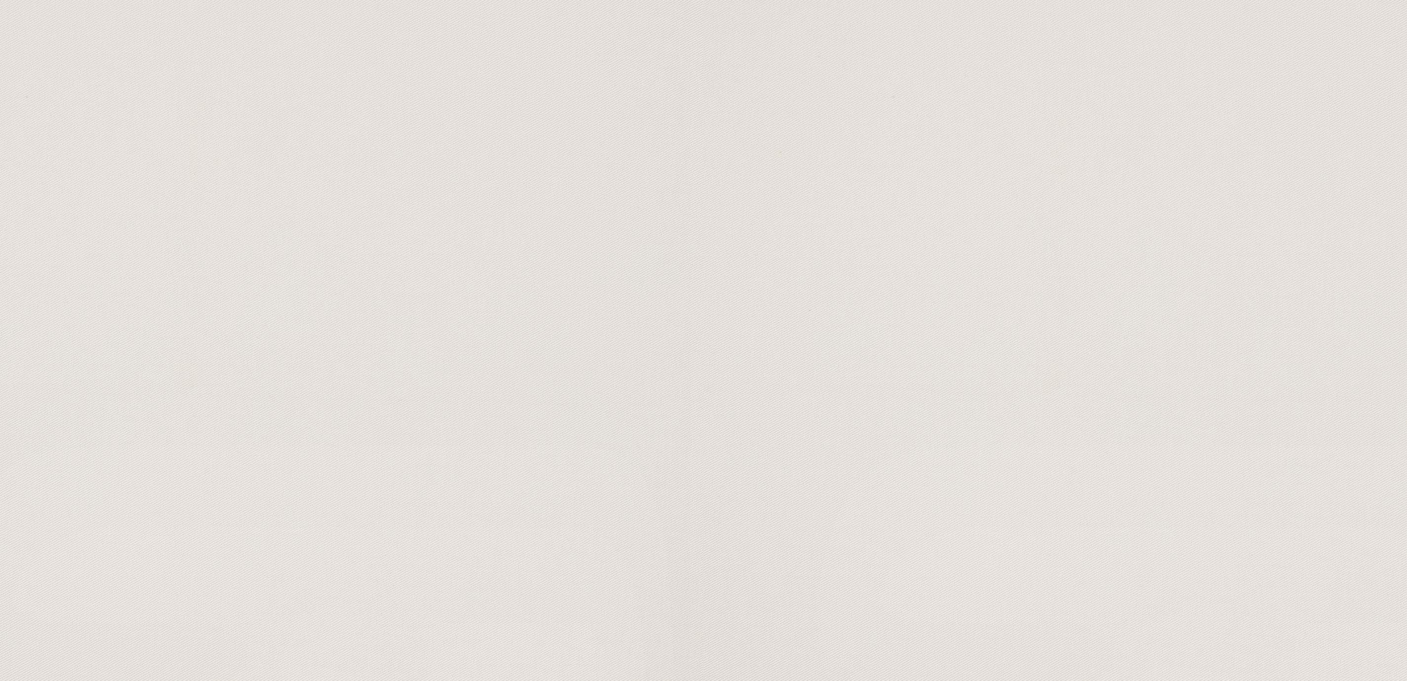 mobile primary image