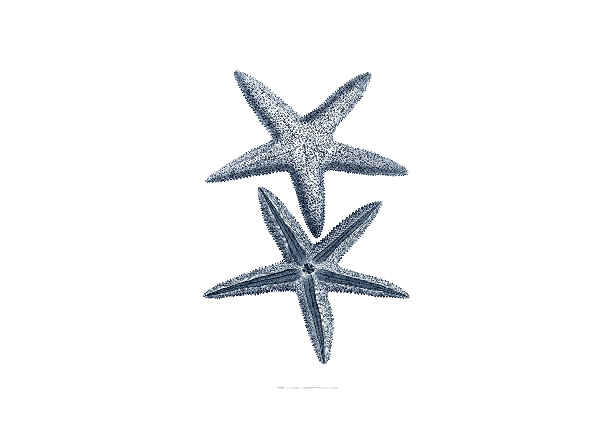 mobile primary image