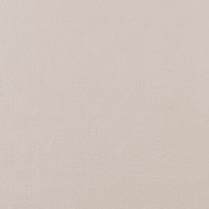 Bisque swatch Pleasantville Rug
