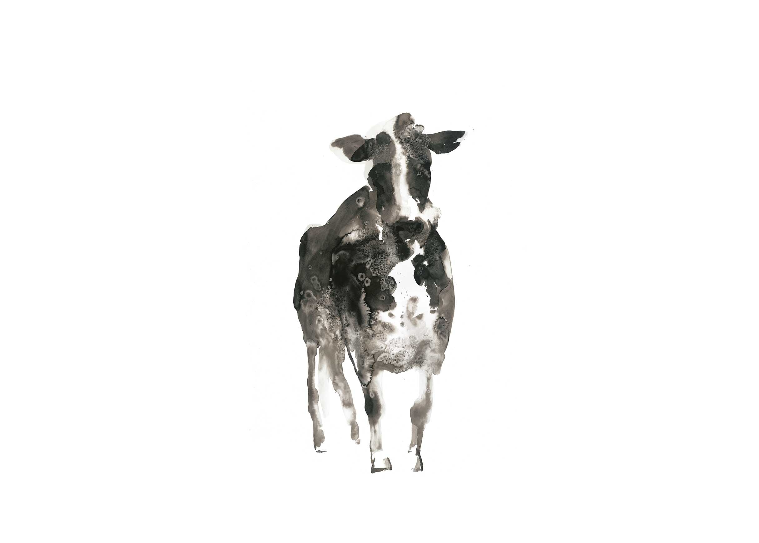 mobile primary image