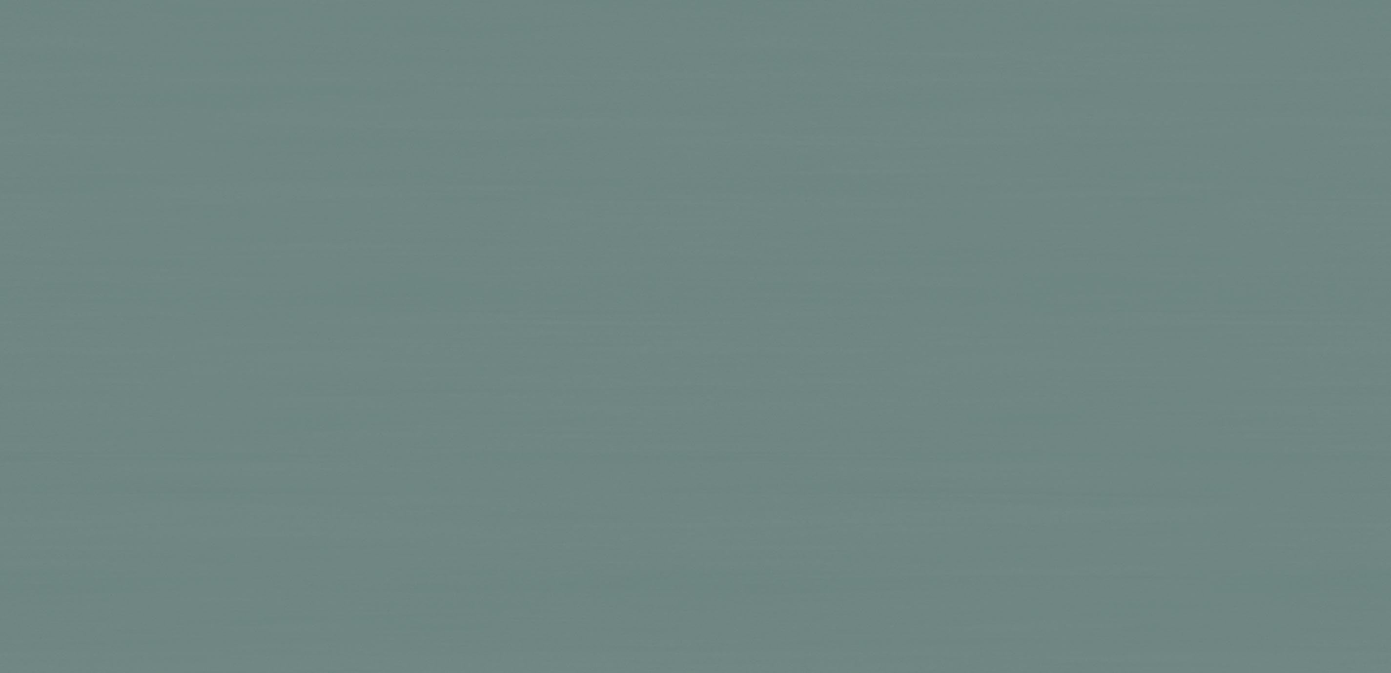 mobile primary image